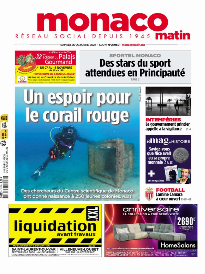 Sculpture d’un chien de chasse par Rochard sculpteur animalier, capturant la posture attentive et la finesse des détails